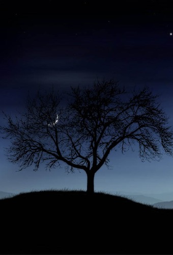 Tree under moonlight